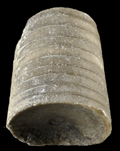 Actinoceras capitolinum